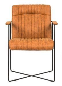 Modern Living Room Furniture with Coated Metal Frame and Fabric Upholstered