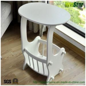 Hot Sale Side Table with Magazine Storage (WS16-0029, Coffee Table)