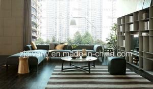 American Style Furniture Home Sofa Leather Sofa