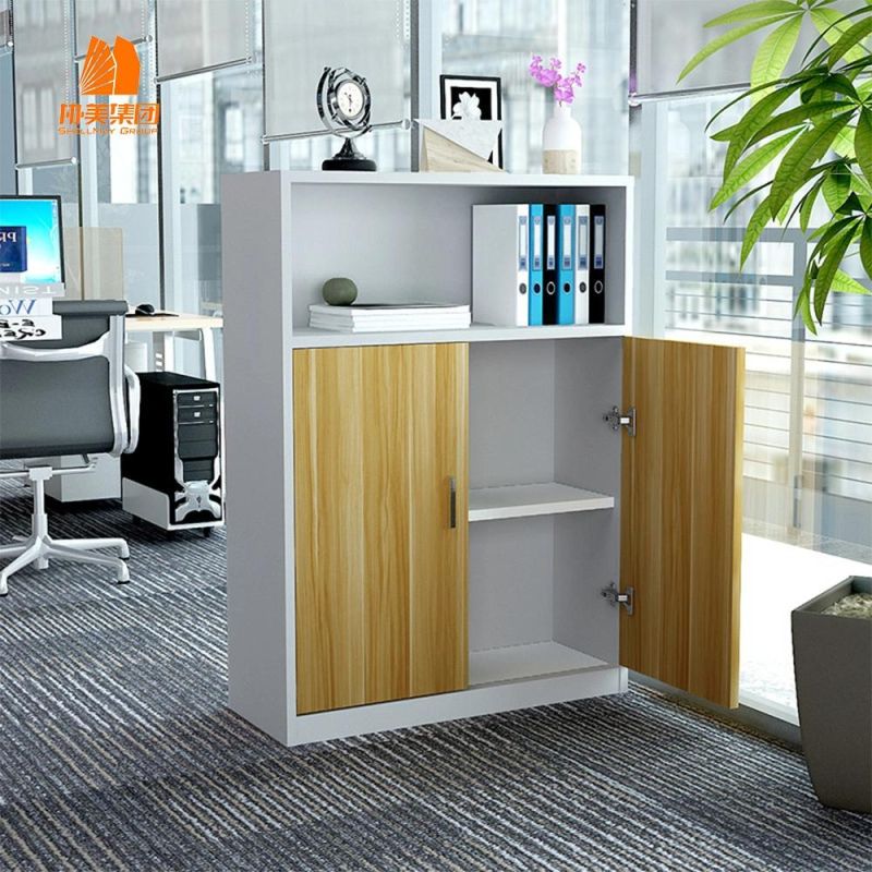 Office Furniture Available Steel 2 Door Storage Filing Cabinet