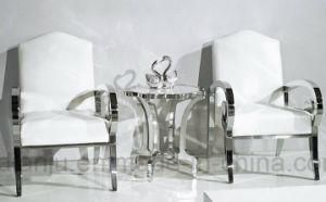 Modern Furniture Stainless Steel Living Room Side Table (CT062S)