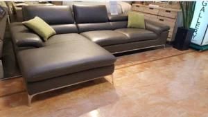 Modern Sectional Leather Sofa for Home Sofa