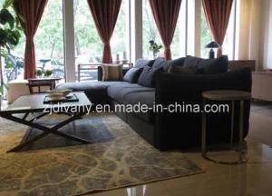 Home Sofa Leather Sofa Fabric Sofa (D-74)