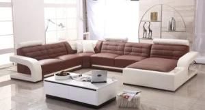 Home Use Leather Sofa (F895-B)