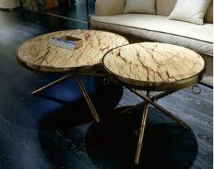 Pl2201 Round Coffee Table with Stailess Steel Stand