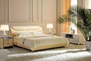 Modern Living Room Furniture /Home Furniture Bed