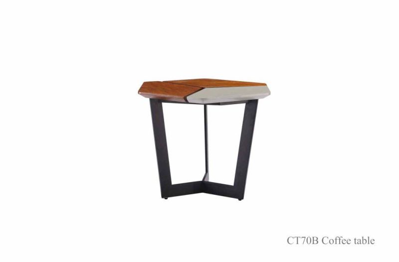 CT70b Coffee Table /Wooden Coffee Table in Home Furniture and Hotel Furniture