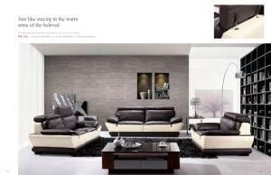 Moder Sofa with Genuine Leather Sofa for Living Room Furniture