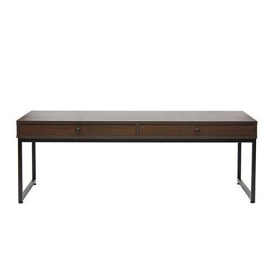 Pure Color Wooden Coffee Table with Two Drawers