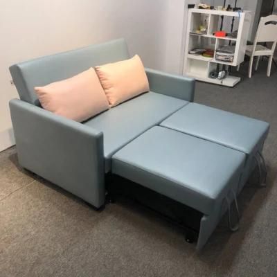Folding Sofa Bed Small Apartment Double-Seat Multifunctional Dual-Purpose Sofa
