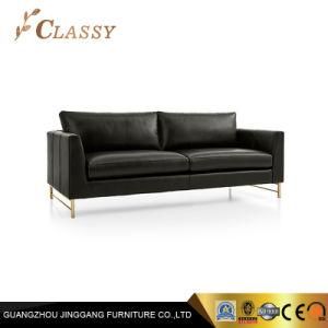 Living Room Modern Luxury Metal Base Couch Lounge Leather Sofa