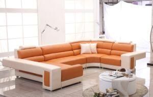 Home Use Leather Sofa / Fabric Sofa (1061)