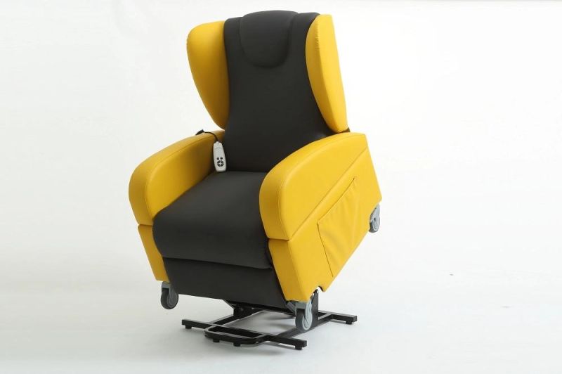 Dual Motors with Handset Living Room Furniture Electric Massage Recliner Lifting Chair