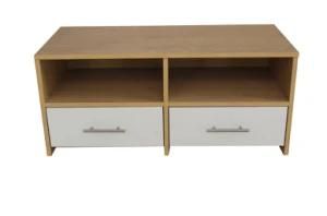 Wood TV Stand/Living Room Furniture (XJ-4005)