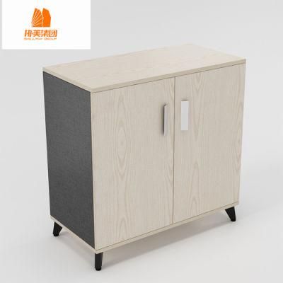 Modern Design Steel 2 Layers Office Furniture, File Cabinet