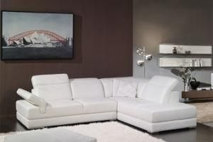 Furniture in Living Room Sofa