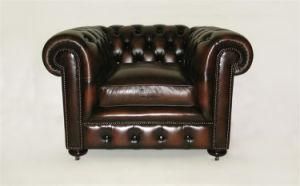 Modern Comfortable Sectional Sofa