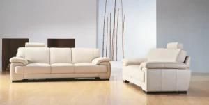 Stylish Casual Sofa with Elegance (A79)