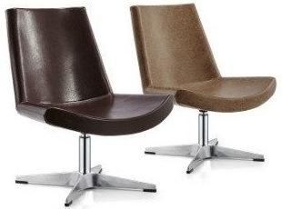 Leisure Living Room Morden Fashion Chair