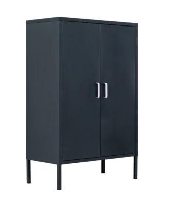 2 - Shelf Storage Cabinet for Home with Swing Metal Door