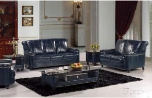 Furniture for Modern Sofa with Top Grain Leather