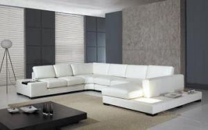 Leather Modern Sofa (S6100)