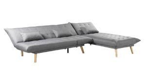 Combination of Large Size Sleeper Sofa