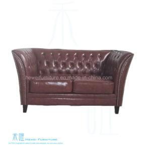 Jane European Living Room Sofa for Home (HW-3826S)