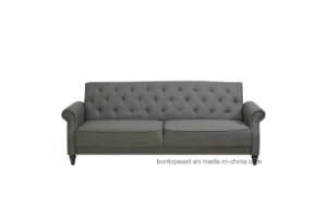 Modern Suitable Sofa Bed and Sofa