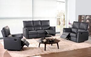 Living Room Furniture/ Sofa (B-25)