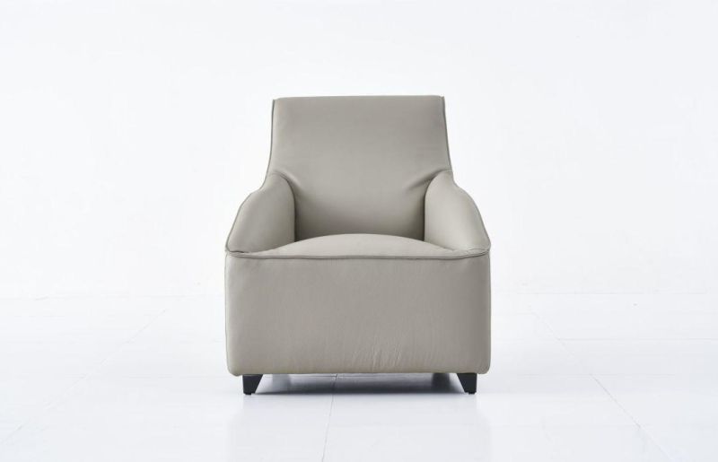 Dr50 Leather Leisure Chair, Latest Design Leisure Chair Modern Design in Home and Hotel