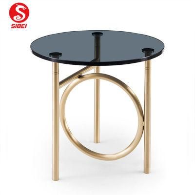 Modern Round Tea Table Sofa Side Simple Steel Coffee Table with Golden Frame