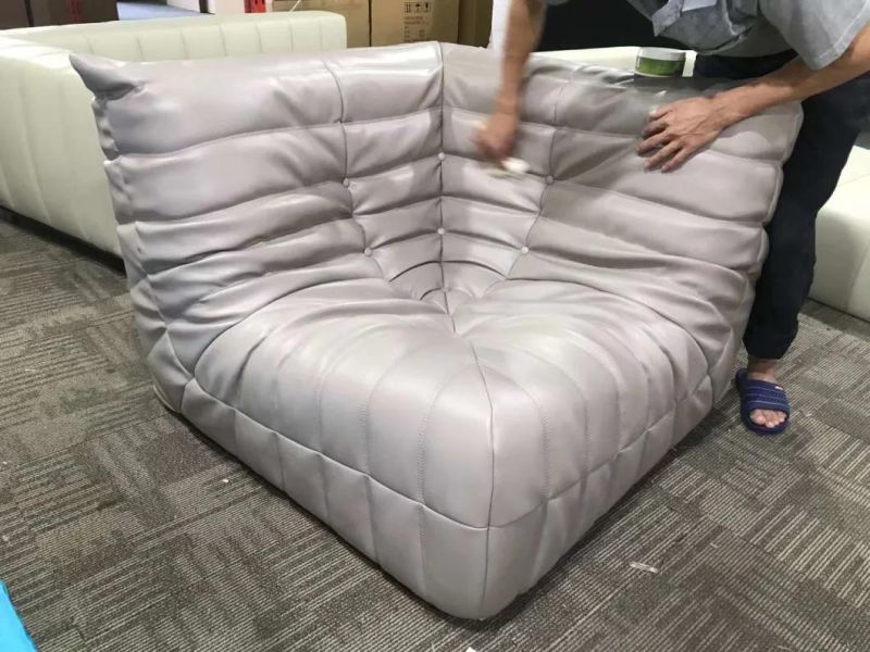 Popular 2-Seater Soft Caterpillars Fabric Leather Sofabed Couch with Ottoman