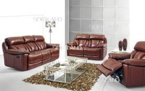 Dark Brown Color Leggtt &amp; Platt Brand Mechanism Sofabed