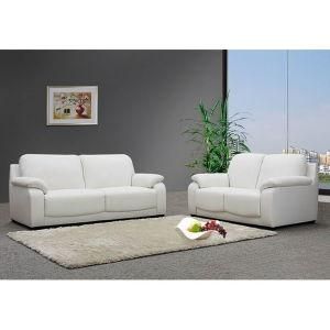 Leisure Sofa, Living Room Leather Sofa (WD-6627)