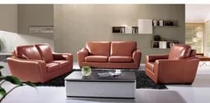 Furniture for Modern Sofa with Top Grain Leather