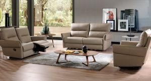 Leisure Italy Leather Sofa Furniture (B-06)