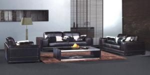Living Room Furniture Leather Sofa with Leisure Sofa