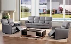 Leather Sofa /Recliner Sofa (B-27)