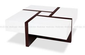 Big Storage Functional Square Speiz Coffee Table