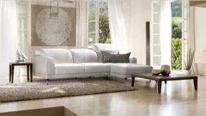 Modern Furniture Leather Sofa with Sectional L Shap