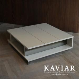 Modern Style Living Room Furniture Coffee Table (TC119)