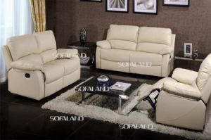 Modern Design Leather Sofa (C743)