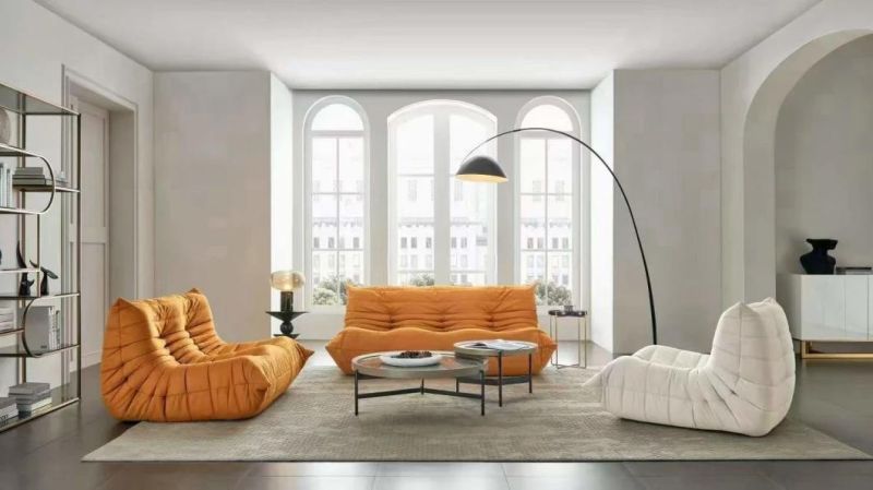 Popular 2-Seater Soft Caterpillars Fabric Leather Sofabed Couch with Ottoman