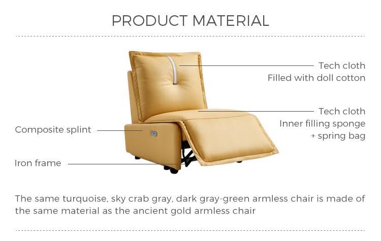 Linsy Electric Single Accent Chairs Recliner Sofa Chairs G004