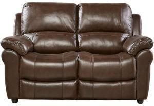 Modern Leather Sofa with Genuine Leather Couches