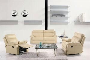 Living Room Genuine Leather Sofa (C715)
