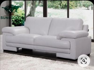 2 Seater Living Room Sofa with Modern Genuine Leather Sofa