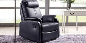 Recliner (F817)