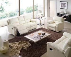 Living Room Sofa with Modern Genuine Leather Sofa Set (896)